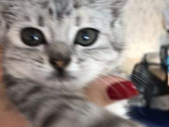     ,   ,  ,  , ,  