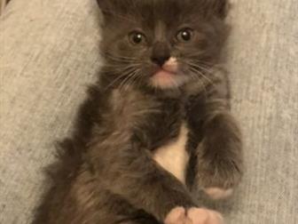       ??  