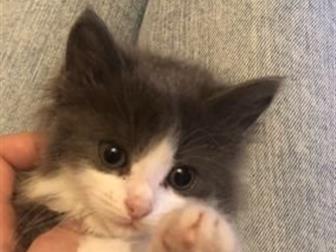       ??  