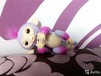    Fingerlings,      1700 ,   ,   ,   ,  - 3721: /  