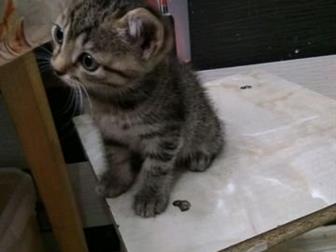 ??    ,   ,     2,    ,     ,        