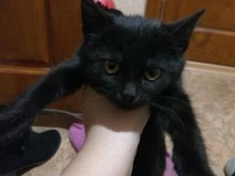  ()   ,  ,         ,   ,  -   ,      