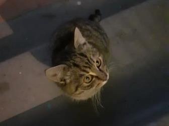 , , , ,     !  ,   ,      !  