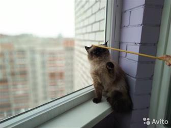   ,   ,         ?), ,      ,  