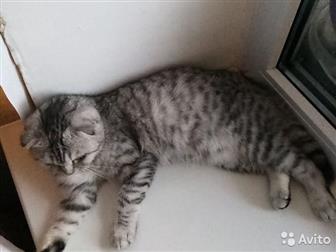  ,  :  1 ,  :  ,    ,    ,    ,      500  