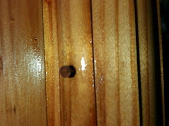 ������� ��������� ����� 1800?1600-3��,  ������ ����������, ������������� ������������ ��� ������, � ������ �������, �������������, �������� � ������, -������ ������;-������� � ��������