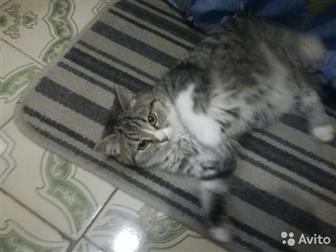        ,     ,     ,    ,      ,  ,  
