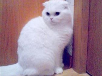    ,   , 11 ,  , ,   5 ,, ,      