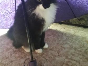   ,   ,    ,         ,   ,       